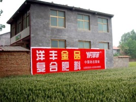 范县如何让墙体广告展现最大化效果