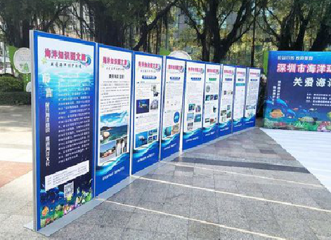 范县KT板的种类和知识。